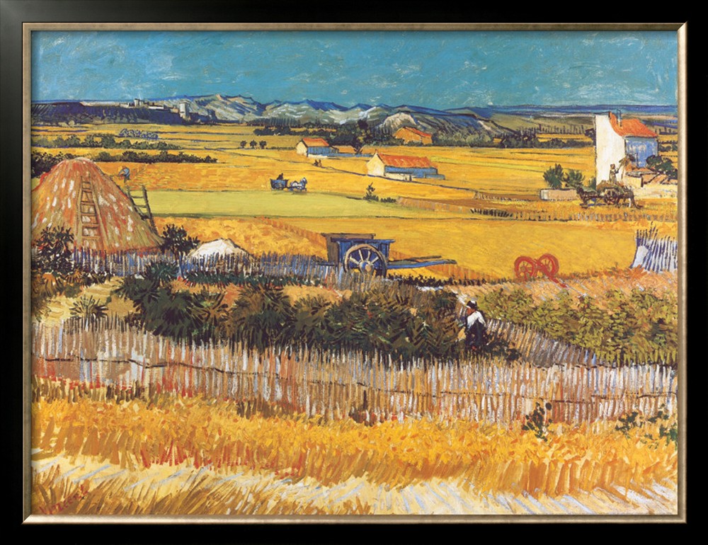 Harvest At Arles, C.1888 By Vincent Van Gogh